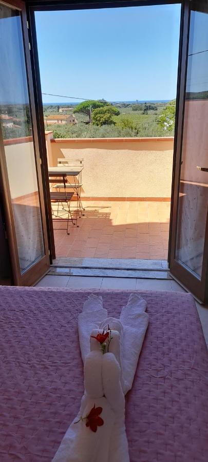 Agriturismo Il Vecchio Olivo Castagneto Carducci Exteriér fotografie