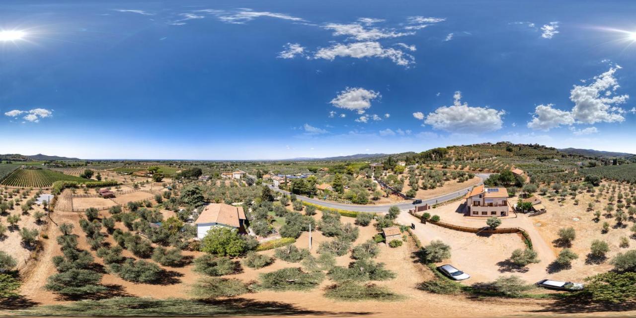 Agriturismo Il Vecchio Olivo Castagneto Carducci Exteriér fotografie