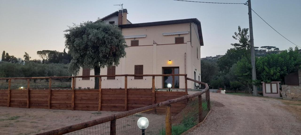 Agriturismo Il Vecchio Olivo Castagneto Carducci Exteriér fotografie